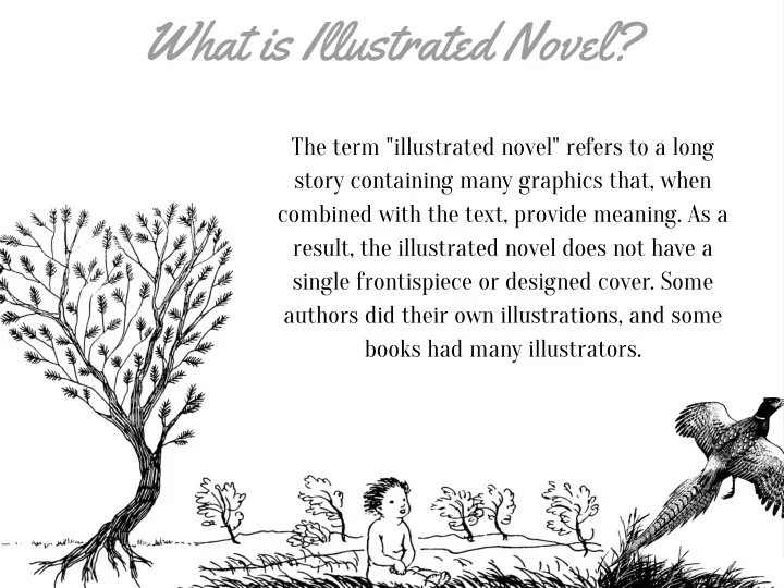what is illustrated novel