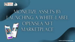 Monetize Assets By Launching A White-Label OpenSea NFT Marketplace