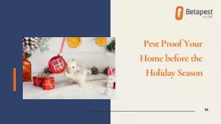 Pest Proof Your Home before the Holiday Season
