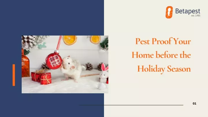 pest proof your home before the holiday season