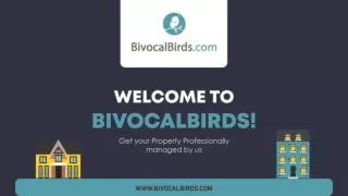 BivocalBirds-Property management-PPT