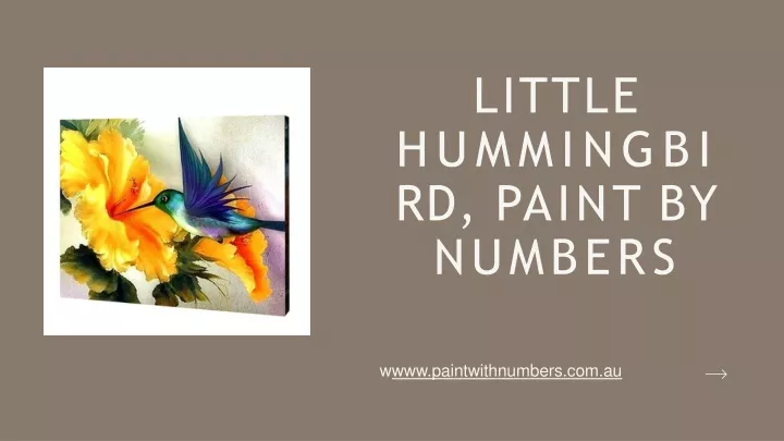 little hummingbi rd paint by numbers