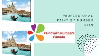 pr ofe ssional paint by numbe r