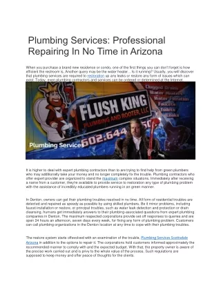 Plumbing Services-Professional Repairing In No Time in Arizona
