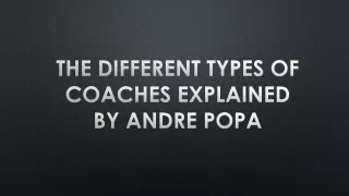 the different types of coaches explained by andre popa