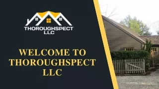 Pest Control In Greenwich - Thoroughspect LLC