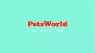 Pet Starter Kit - PetsWorld Inc