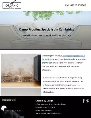 Damp Proofing Specialist in Cambridge