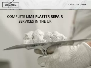 COMPLETE LIME PLASTER REPAIR SERVICES IN THE UK