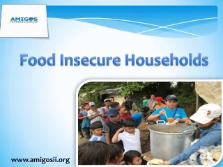 Food Insecure Households