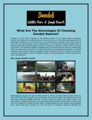 What Are The Advantages Of Choosing Dandeli Resorts?