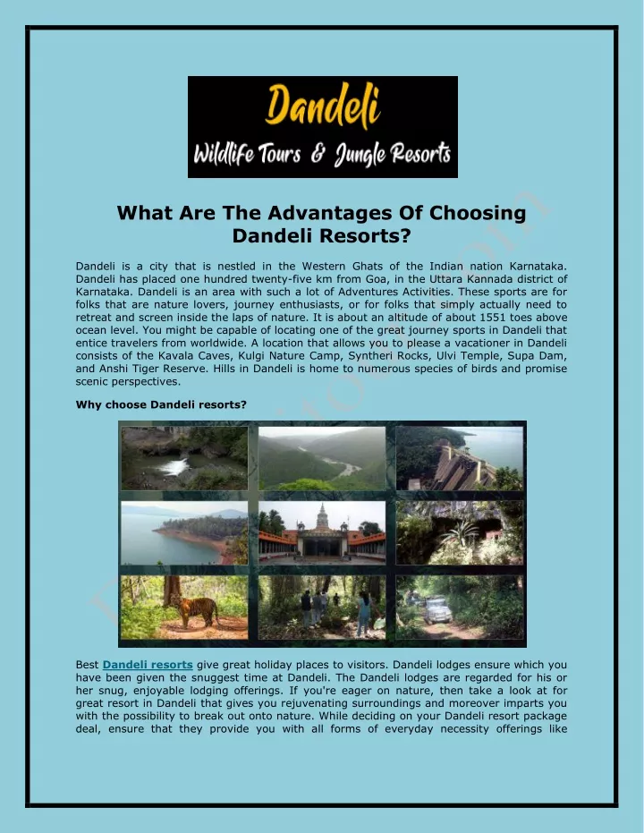 what are the advantages of choosing dandeli