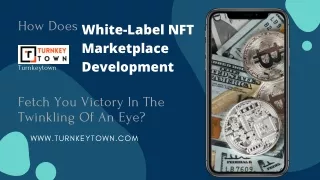 How Does A White-Label NFT Marketplace Development Fetch You Victory In The Twinkling Of An Eye