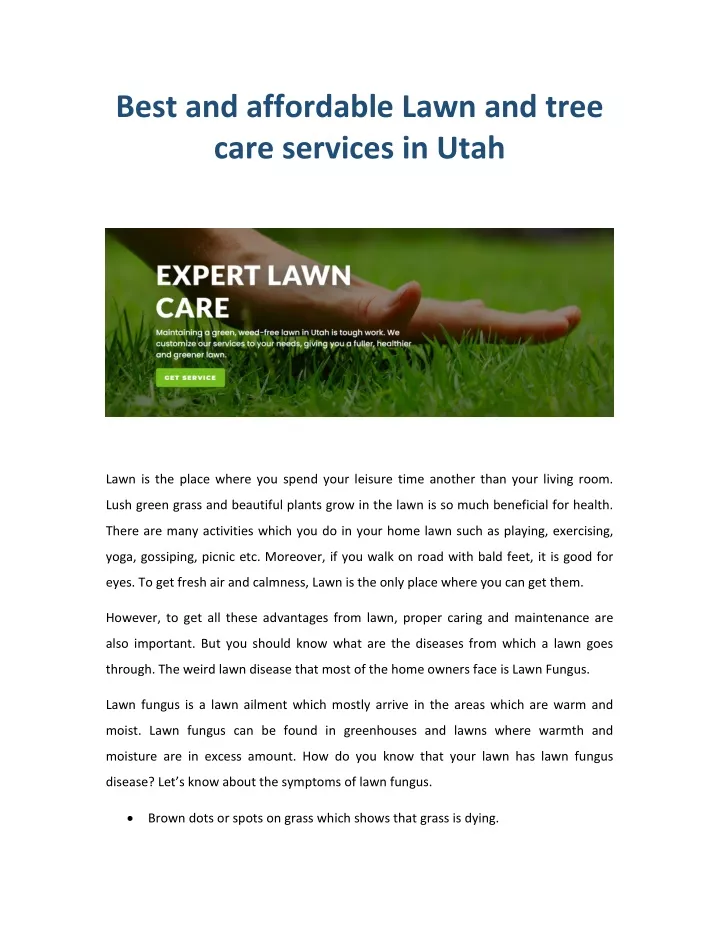 best and affordable lawn and tree care services