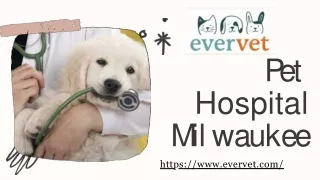 The Best Pet Hospital in Milwaukee, WI