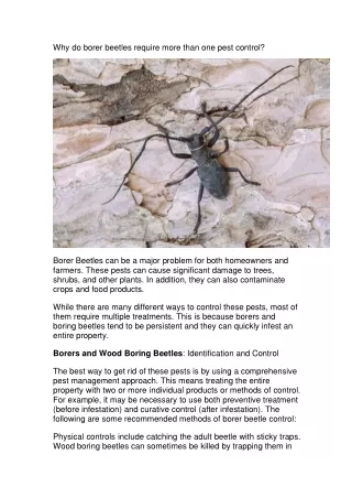 why do borer beetles require more than one pest