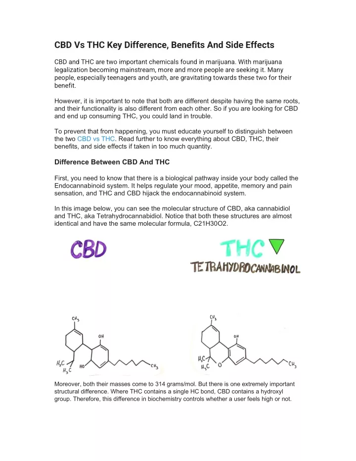 cbd vs thc key difference benefits and side