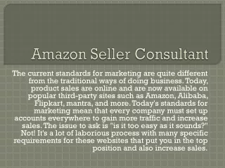 Amazon Seller Consultant