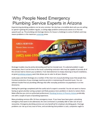 Why People Need Emergency Plumbing Service Experts In Arizona