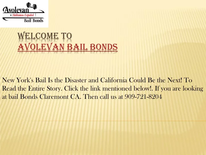 welcome to avolevan bail bonds