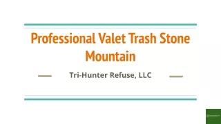 Professional Valet Trash Stone Mountain