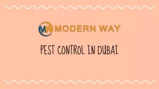 Pest control in Dubai