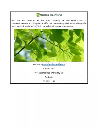 Best Tree Trimming Gold Coast  Protreeworks.com.au