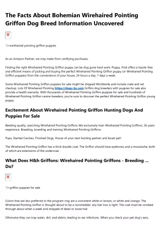 5 Qualities the Best People in the wirehaired pointing griffon puppies Industry