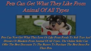 pets can get what they like from animal of all types