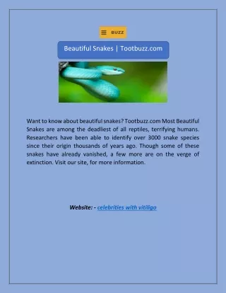 Beautiful Snakes | Tootbuzz.com