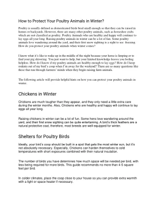 how to protect your poultry animals in winter