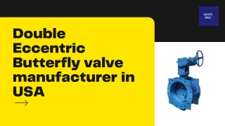 Double Eccentric Butterfly valve manufacturer in USA