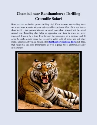 Chambal near Ranthambore: Thrilling Crocodile Safari