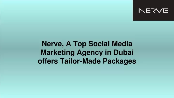 nerve a top social media marketing agency