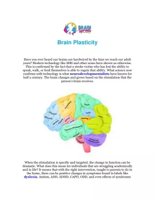 brain plasticity