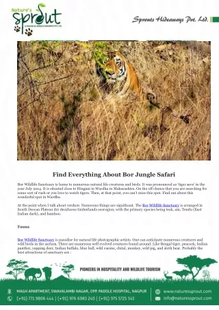 Find Everything About Bor Jungle Safari
