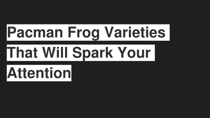 pacman frog varieties that will spark your
