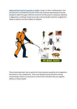 Approved Pest Control Companies In Dubai