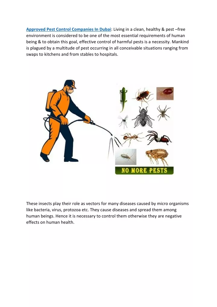 approved pest control companies in dubai living