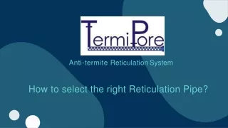 anti termite reticulation system