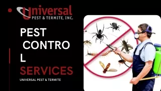 PEST CONTROL SERVICES