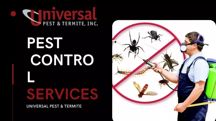 pest contro l services universal pest termite