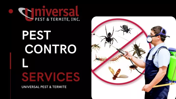 PPT - PEST CONTROL SERVICES PowerPoint Presentation, Free Download - ID ...