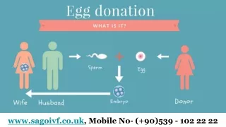 Best & Cheapest IVF In Europe For Over 40