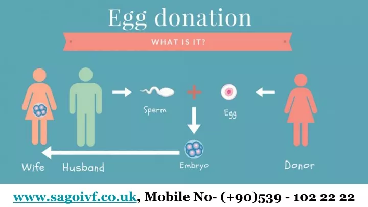 www sagoivf co uk mobile no 90 539 102 22 22