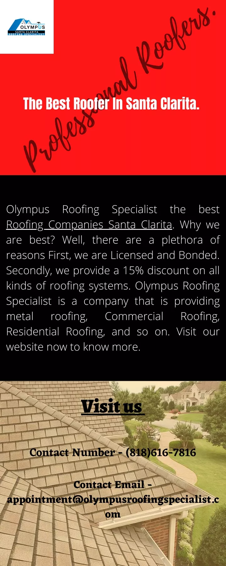 professional roofers