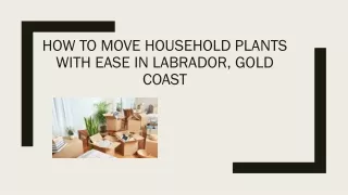 How To Move Household Plants With Ease in Labrador, Gold Coast
