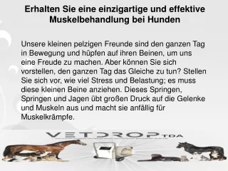 Erhalten Sie eine einzigartige und effektive Muskelbehandlung bei Hunden