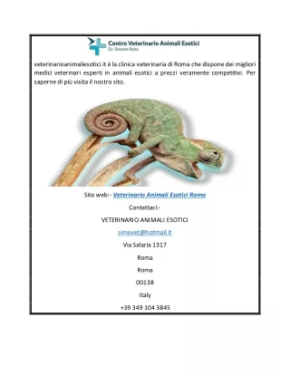 I migliori veterinari specializzati in animali esotici a Roma