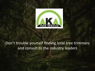 Get the Professional Help from the Industry Leaders Named AKA Tree Service